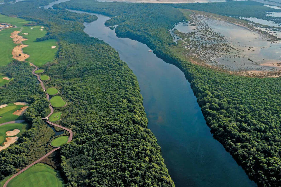 Adjacent mangrove sanctuary